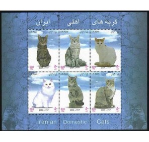 Írán A ** - perské kočky