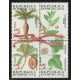 Dominikánská republika ** - rostliny 1999